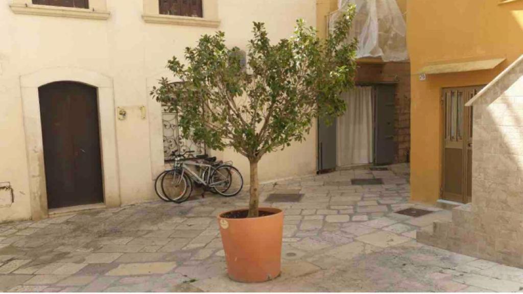 Corte32 Bari Dış mekan fotoğraf